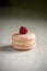 One macaron with a dried raspberry on top.
