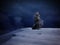 One magical winter snow covered tree stay along. Winter landscape. Vibrant night sky with stars and nebula and galaxy