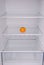 One mandarin in open empty refrigerator.