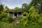 One of many abandoned houses on the south pacific island of Niue