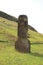 One of many abandoned huge Moai statues on the slope of Rano Raraku volcano, Easter Island of Chile Archaeological site