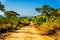 One of the many dirt roads through the wilderness of Kruger National Park