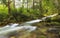 One of the many mountain rivers in the Tatras