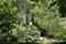 One of many of statue amount tropical vegetation in Jardines del Buen Retiro, Madrid, capital of