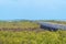 One mile jetty at Carnarvon, Australia