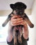 One month old cute german shepherd puppy held up