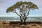 One of the most beautiful and highly rated beaches in the world - Wailea Beach, Maui, Hawaii, USA