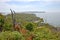 One of the most beautiful walks in Sydney Spit bridge to Manly beach coastal walk, Sydney, Australia