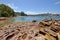 One of the most beautiful walks in Sydney Spit bridge to Manly beach coastal walk, Sydney, Australia