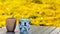 One mug with dutch decoration and the other mug without decoration on a metal camping table with a blurred yellow background