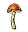 One mushroom close up. Autumn concept
