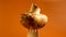 One mushroom on a wooden fork on a yellow background. Royal large double-leaf brown unpeeled champignon. A juicy mushroom that is