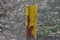 One old iron yellow brown boundary post