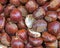 One open on closed chestnuts, natural background