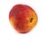 One orange and red peach splattered with tiny drops of water laying on its side
