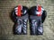 One pair of boxing gloves 12 oz. Russia Sochi 05 12 2019
