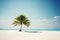 One palm on a empty white beach. Idyllic tropical seascape. Paradise beach. Generative AI