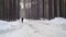 One person walks along a snowy road in the forest