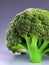 One Piece of Brocolli close up ai image