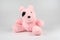 One pink dog doll with the black area around it eye