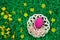 One pink Easter egg in decorative bowl and yellow flowers in green artificial grass.