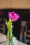 One pink or purple tulip in a glass bottle vase on a restaurant table which is cover with a white tablecloth. Utensils and napkins