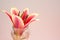 One pink and yellow lily flower with drops of water in glass on beige background with pink backlight.