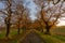 One point perspective view of parallel tree paths and natural landscape countryside in autumn season.