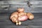 One potato with germinated embryos on the background of a pile of potato tubers of standard configuration