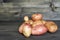 One potato with germinated embryos on the background of a pile of potato tubers of standard configuration