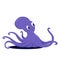 one purple octopus with long legs and a large head