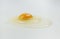 One raw chicken egg with yellow yolk and clear white egg in three layers on white background. The largest cell in the world