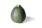 One realistic looking globe or eight ball squash or zucchini or round courgette - cucurbita pepo - isolated white background