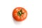 One realistic looking tomato lying isolated in a white background