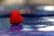 One Red Heart on Blue Surface for Love and Valentines Background