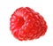 One red ripe raspberry fruit