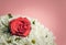 One Red Rose Amongst White Daisies for Mother`s Day and Valentine`s Day