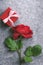 One red rose and a cute gift box