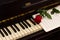 One red rose with notes paper on piano