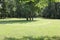 One of Replica Stone circle at Fort Ancient