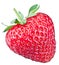 One rich strawberry fruit.