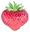 One rich strawberry fruit in the form of heart.