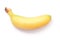 One ripe baby banana isolated