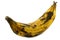 One ripe baking banana (plantain banana)