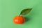 One ripe raw tangerine on stem with leaf on chartreuse green background. Vitamins citrus fruits detox vegan clean eating superfood