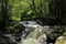 One river in the vosges forest