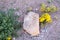 One rock resting on a bed of tiny stones