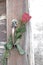 One rose flower with shadow is inserted in door brass handle