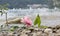 One rose at stony beach, farewell scene