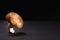 One royal mushroom champignon stands on a black background
